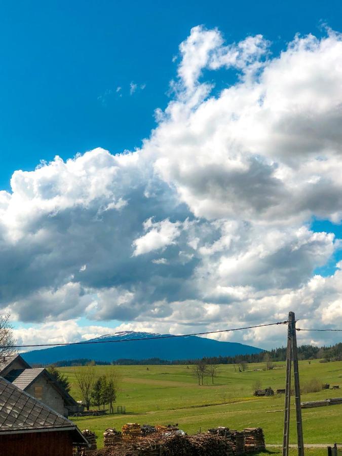 Podwilk Agroturystyka Kasia 빌라 외부 사진